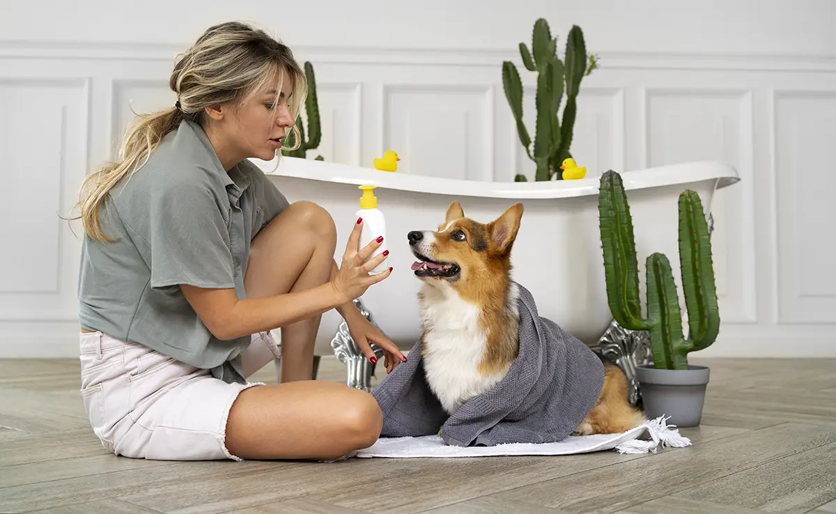 faire trop chien 101639 1200 738