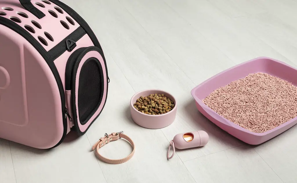 objets chat 082430 1200 738