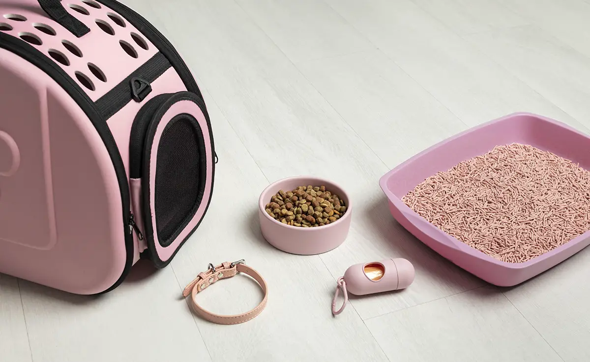 objets chat 082430 1200 738