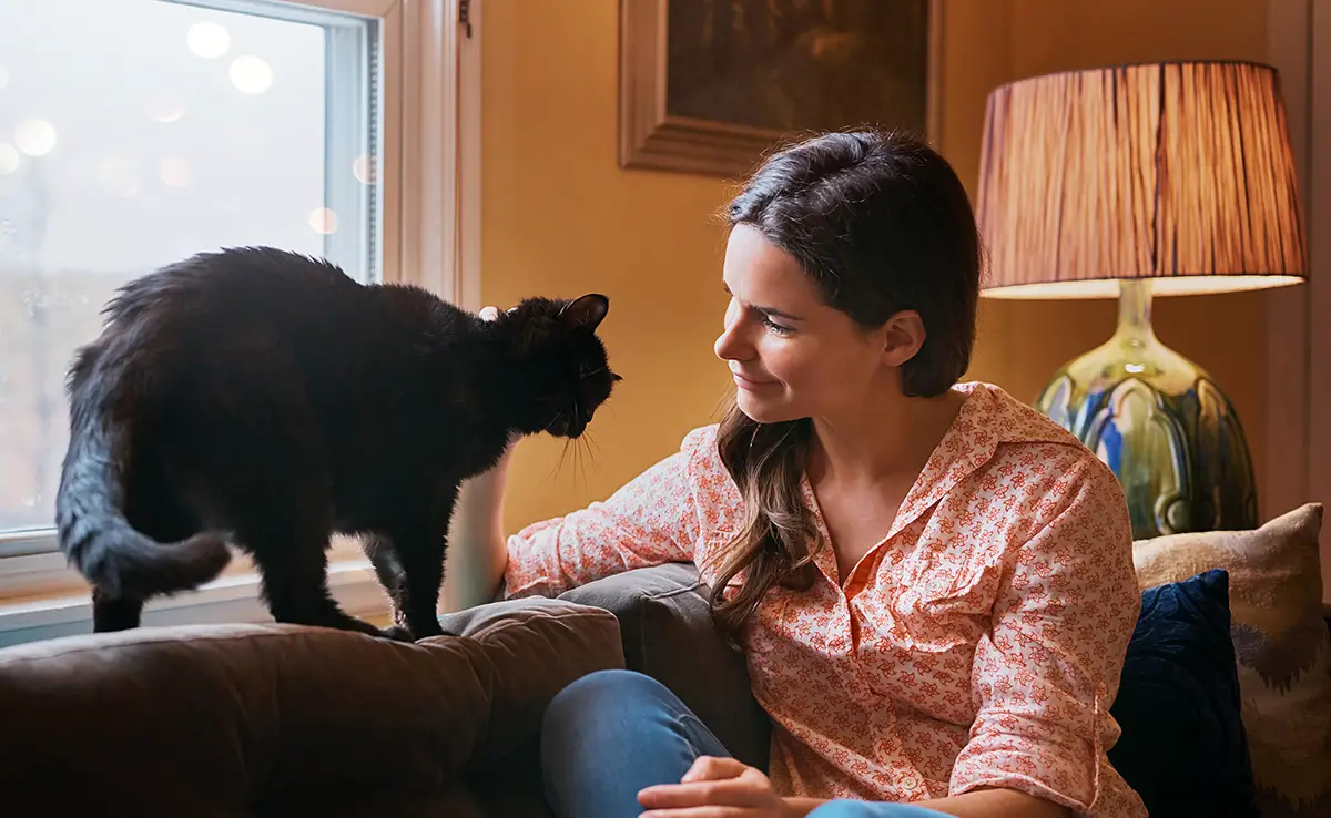 excuse chat 065014 1200 738