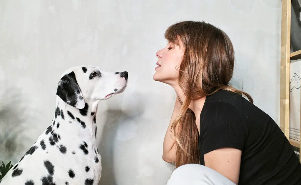 Hoe kunt u uw excuses aanbieden aan uw hond? Zal hij het begrijpen? 1 excuser chien 082954 1200 738