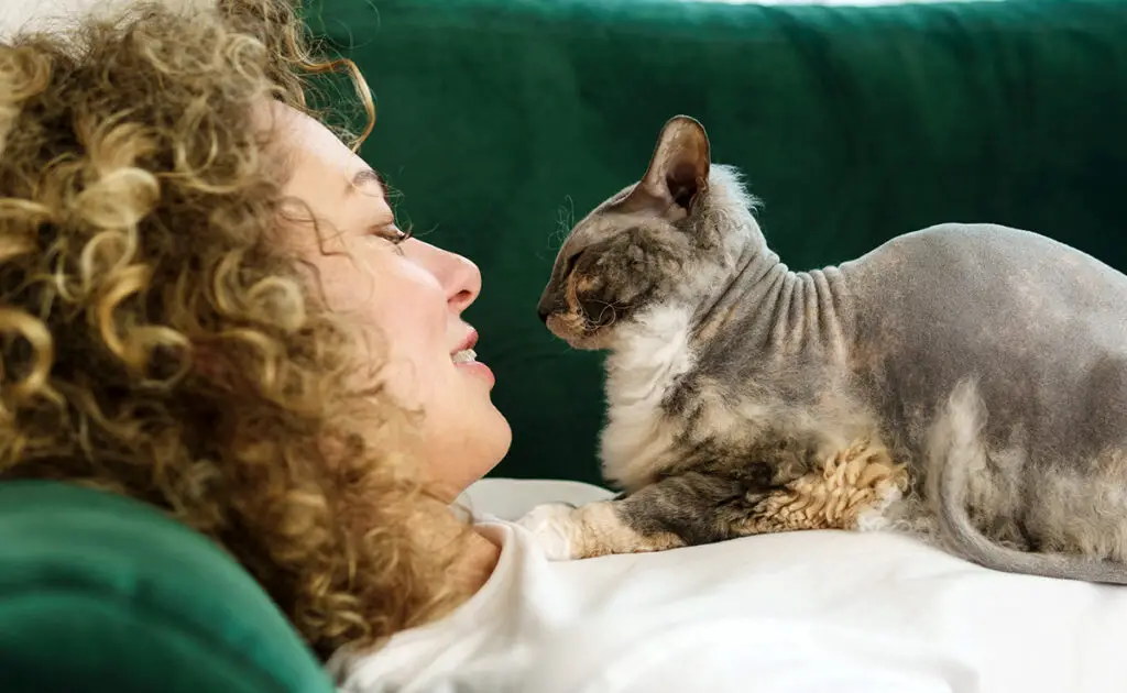 Houden katten ervan om gepraat te worden? 1 parler chat 063416 1200 738