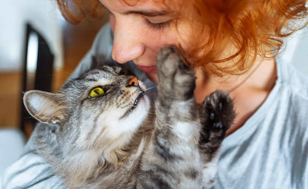 Wie is er aanhankelijker: de kater of de poes? 6 chat affectueux 083910 1200 738