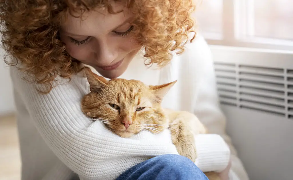 10 redenen waarom uw kat gunstig kan zijn voor uw geestelijke gezondheid! 1 chat bon sante mentale 084433 1200 738