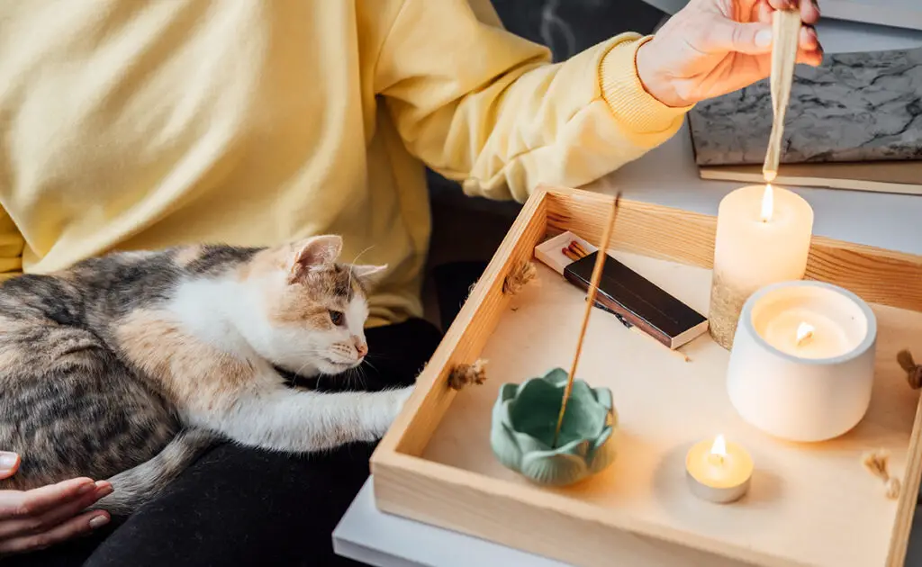 Ik heb de gewoonte om wierook te branden, is dit schadelijk voor mijn kat? 1 encens chat 065031 1200 738