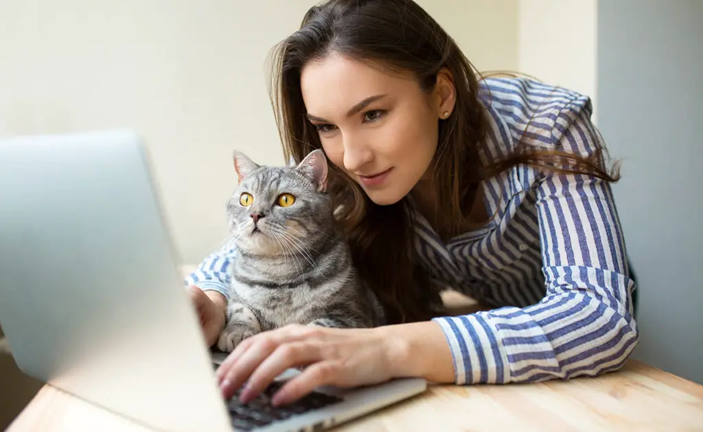 Als ik een kattenvideo aan mijn kat laat zien, begrijpt hij dan dat het een medekat is? 1 chat regarde video 060120 1200 738