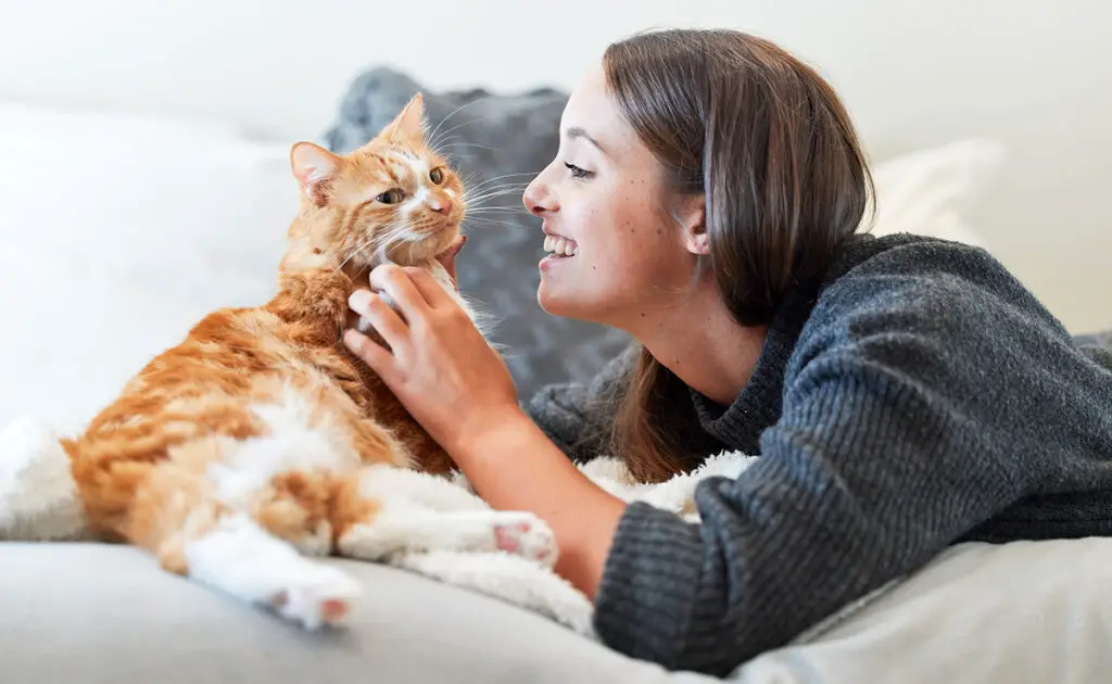 Hoeveel woorden kunnen katten begrijpen? 1 combien mots chat comprendre 150951 1200 738