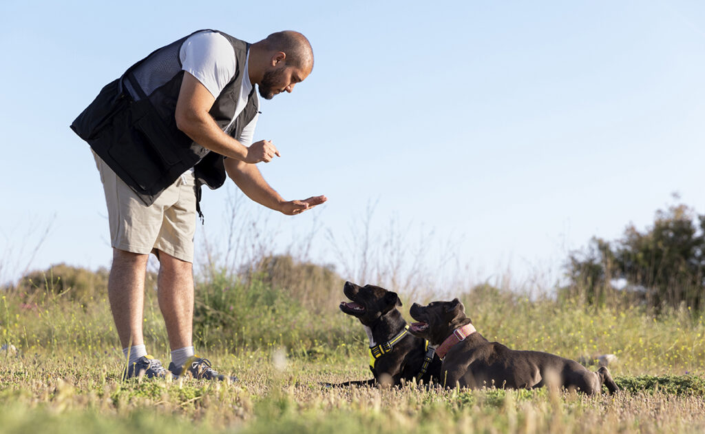 Wat is het salaris van een hondentrainer? Kunnen we goed leven van deze activiteit? Welke beperkingen? 1 educateur canin 084828 1200 738