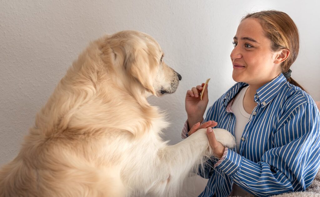 Hoe kan een hond een epileptische aanval detecteren voordat deze bij een mens optreedt? 1 chien epilepsie 081829 1200 738