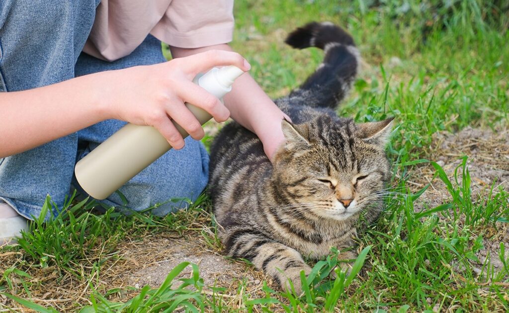 Water op je kat sproeien is een hele zware straf! Uitleg! 1 pulveriser chat 065958 1200 738