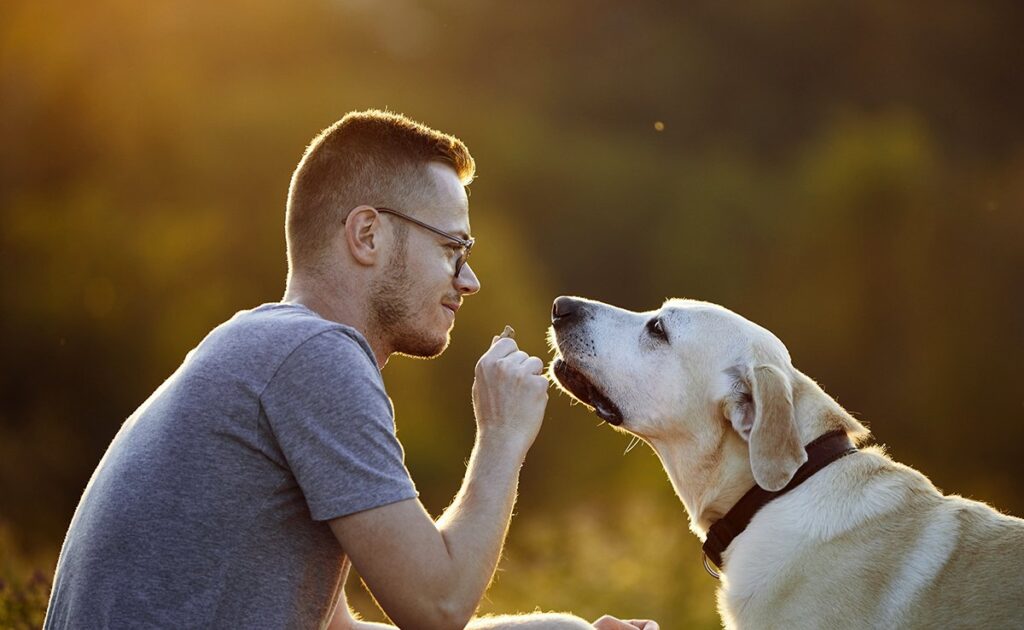 8 geheimen om ervoor te zorgen dat uw hond van u houdt! 2 aimer chien 060912 1200 738