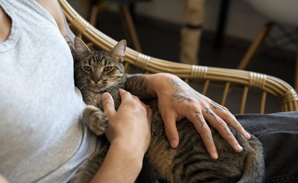 9 geheimen om ervoor te zorgen dat uw kat van u houdt! 1 faire aimer chat 133830 1200 738