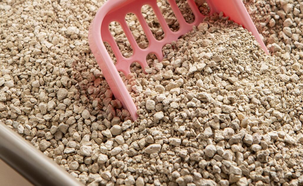 Goedkope kattenbakvulling voor uw kat, is dit echt een probleem? 1 litiere premier prix chat 084028 1200 738
