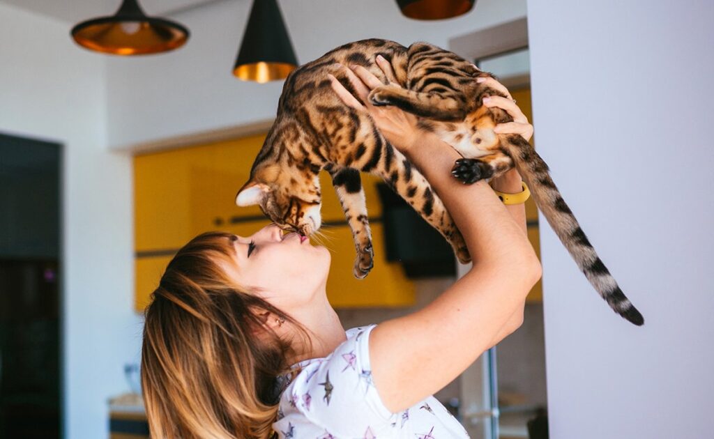 Speel 10 minuten per dag met je kat om hem blij te maken! Is dit genoeg? 1 jouer avec chat 063610 1200 738